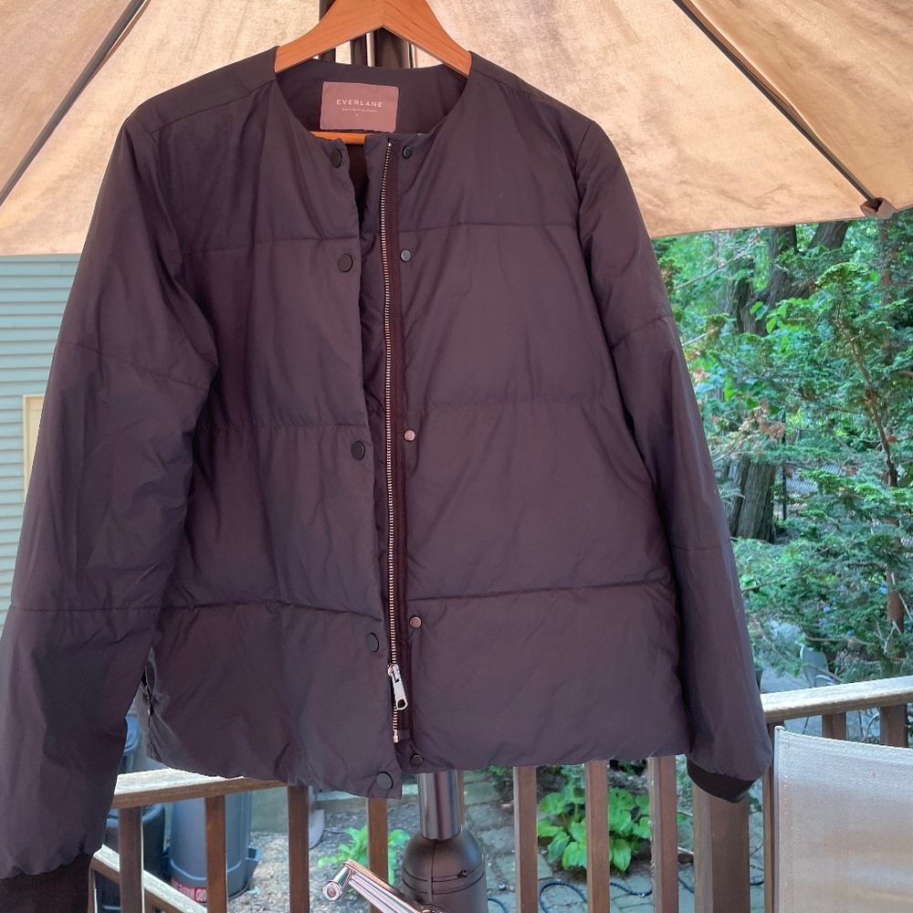 Everlane Puffer Jacket